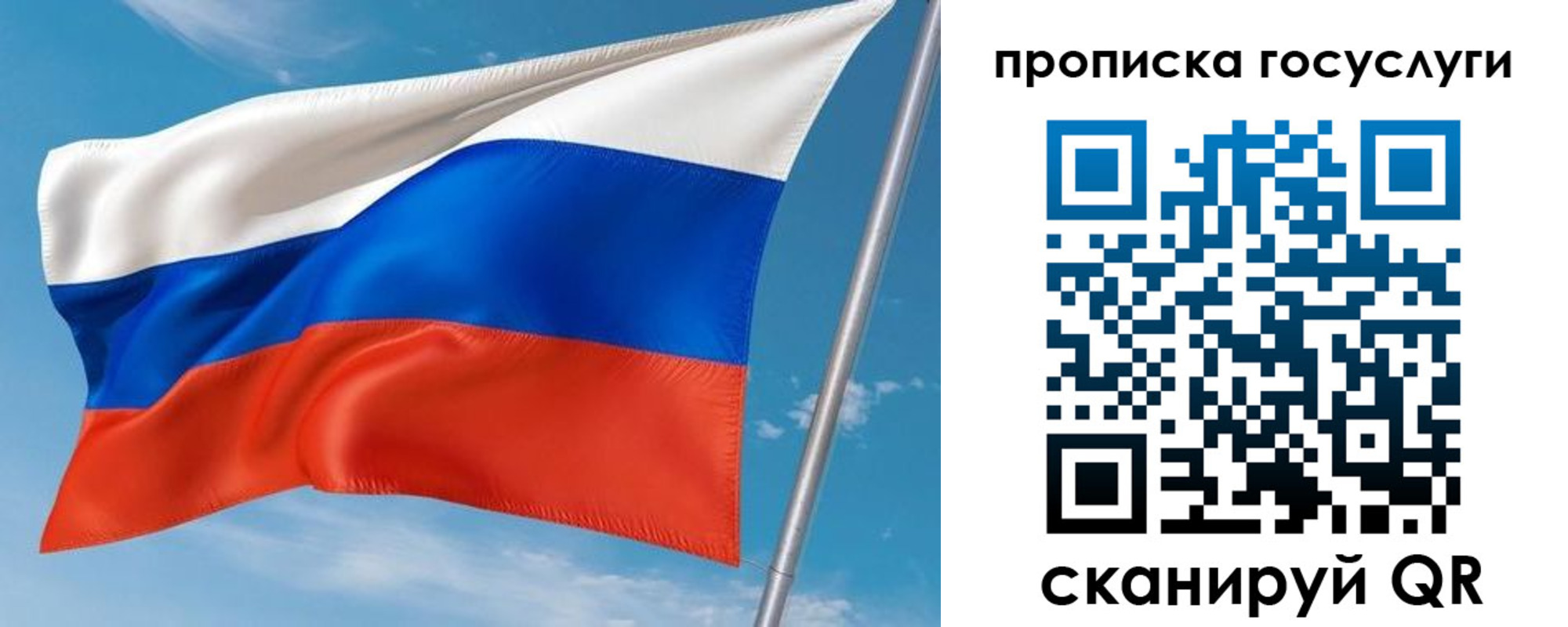 прописка в Новгородской области